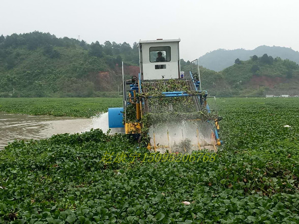 水葫蘆打撈船